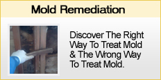 mold remediation nj