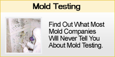 mold testing nj